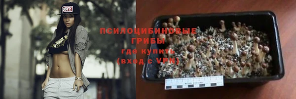 дживик Алексеевка