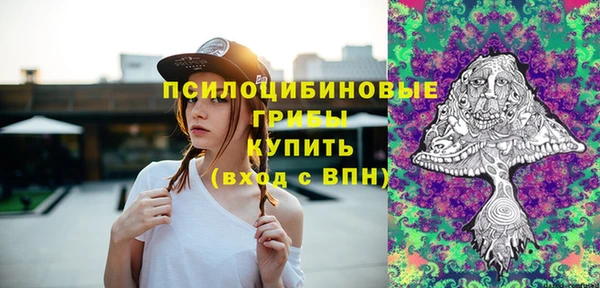 дживик Алексеевка