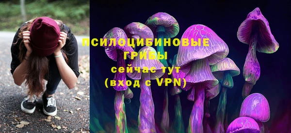 СК Алзамай