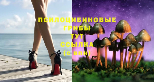 дживик Алексеевка