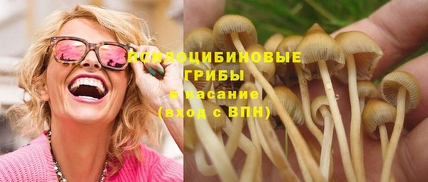 СК Алзамай