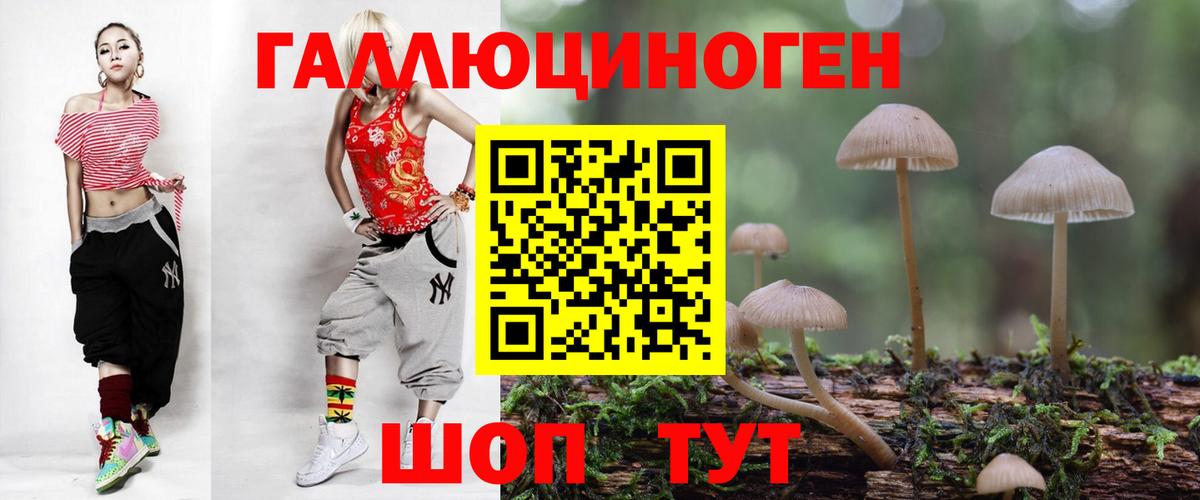 хочу   Вход с VPN  Чайковский  Галлюциногенные грибы MAGIC MUSHROOMS 