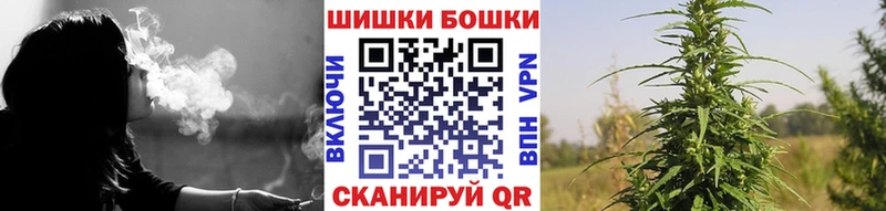 Шишки марихуана гибрид  продажа наркотиков  Чайковский 